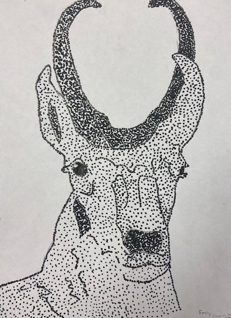 7th Grae-Stippling